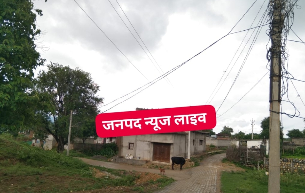 Related Image