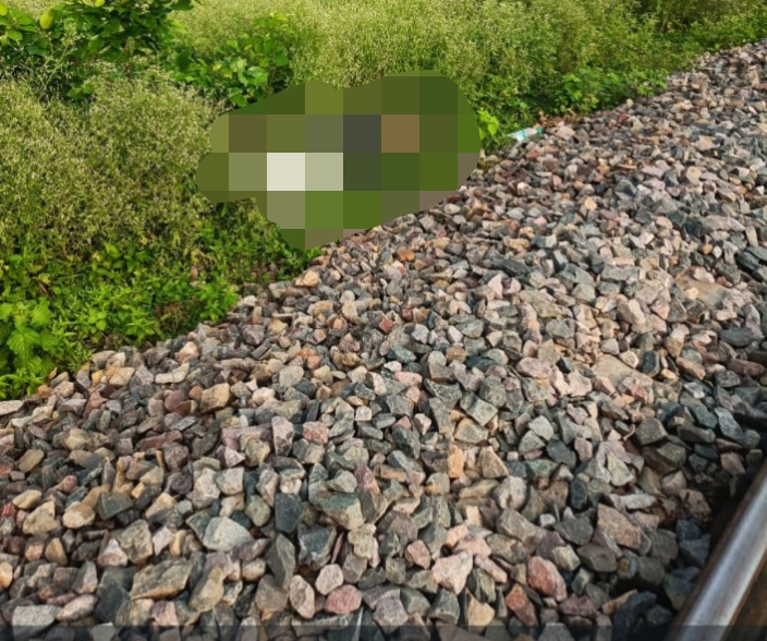 Related Image