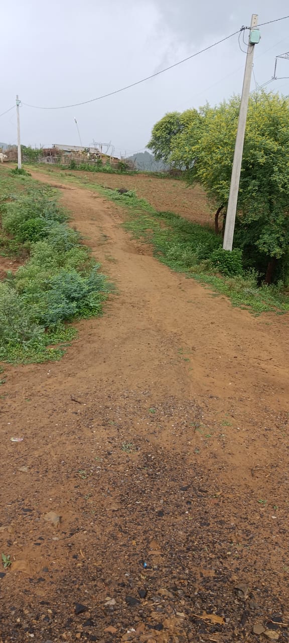 Related Image