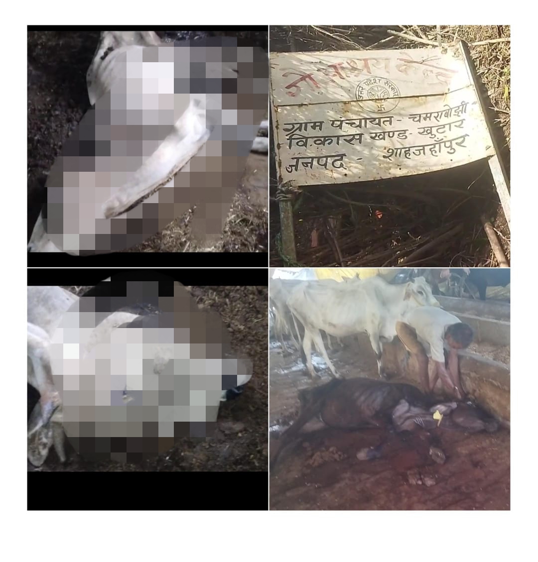 Related Image