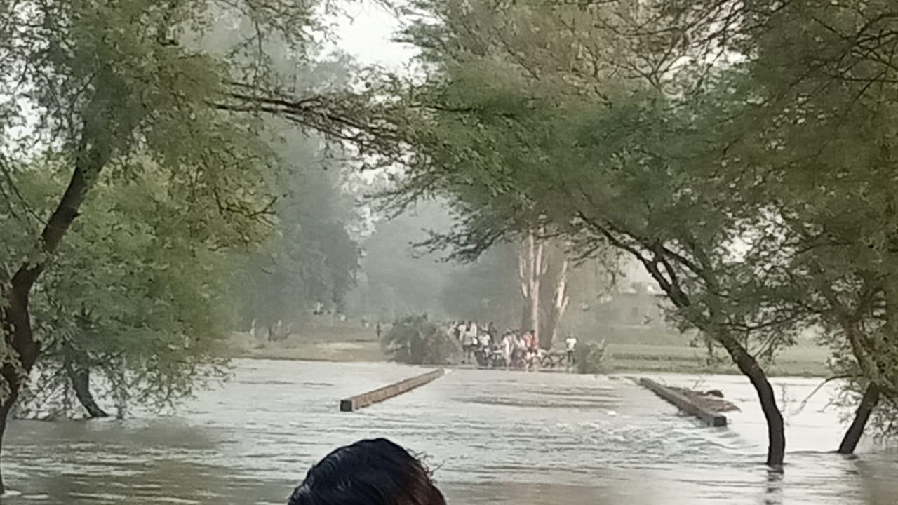 Related Image