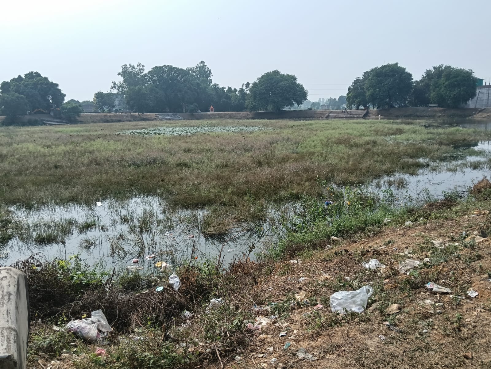 Related Image