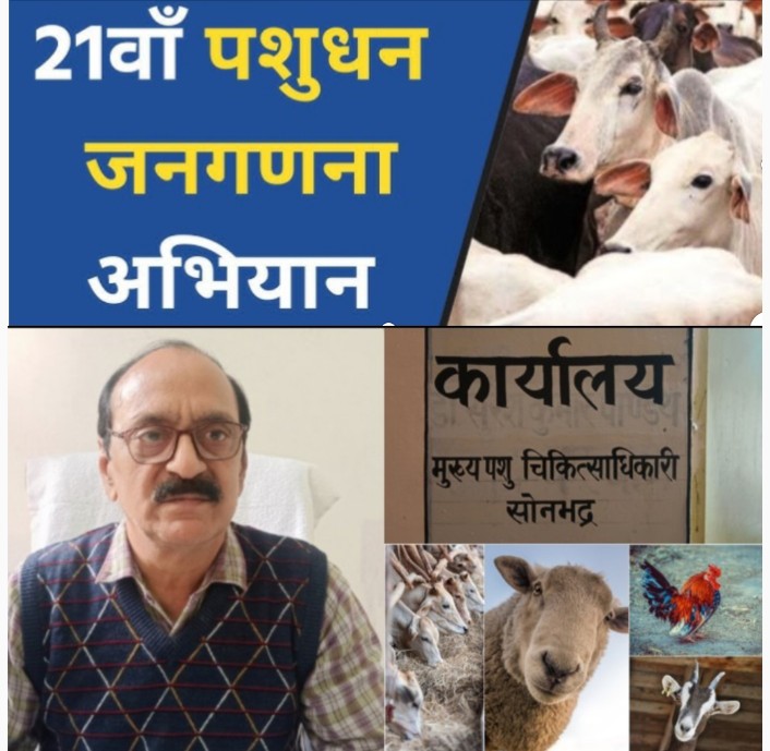 Related Image