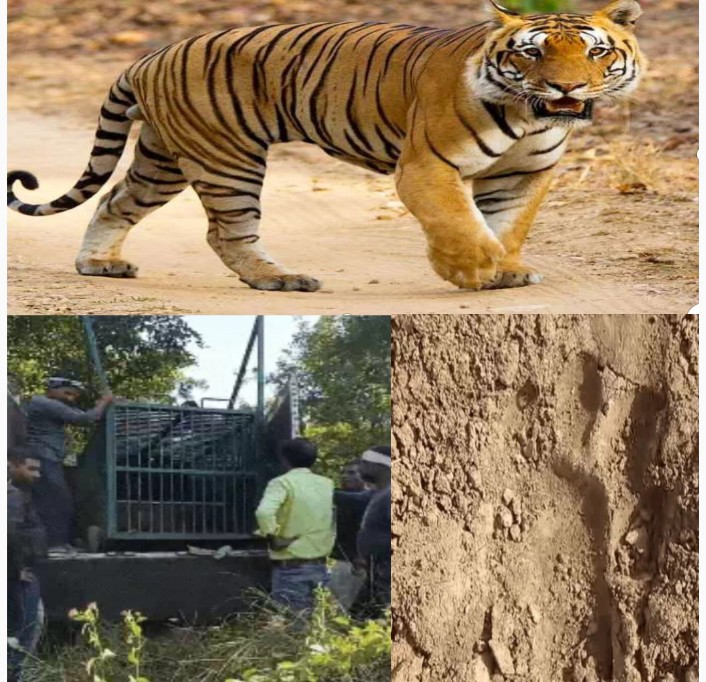 Related Image
