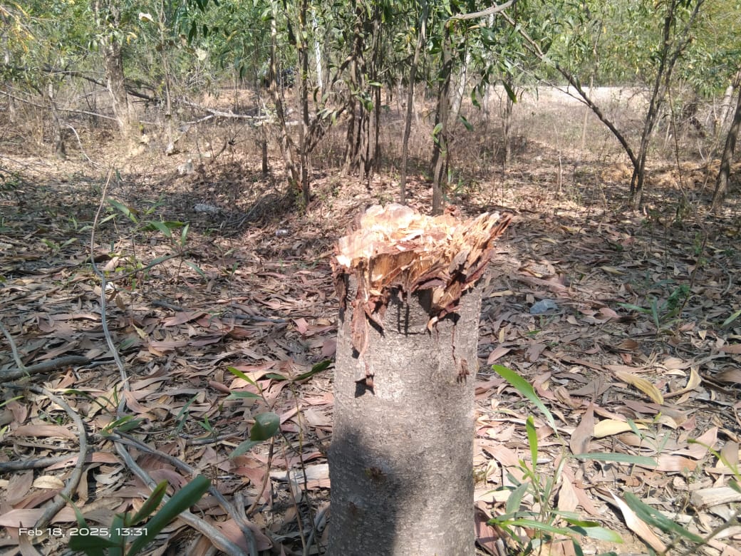 Related Image