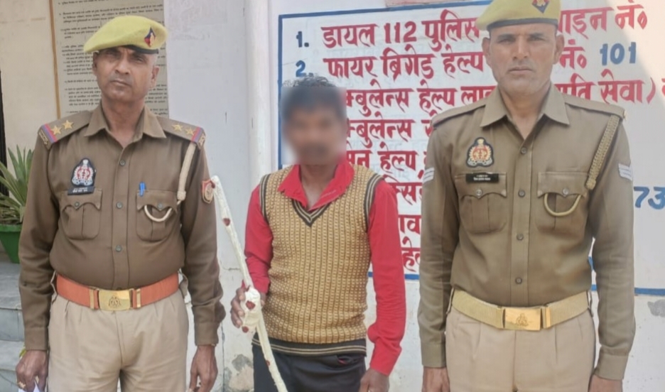 News image