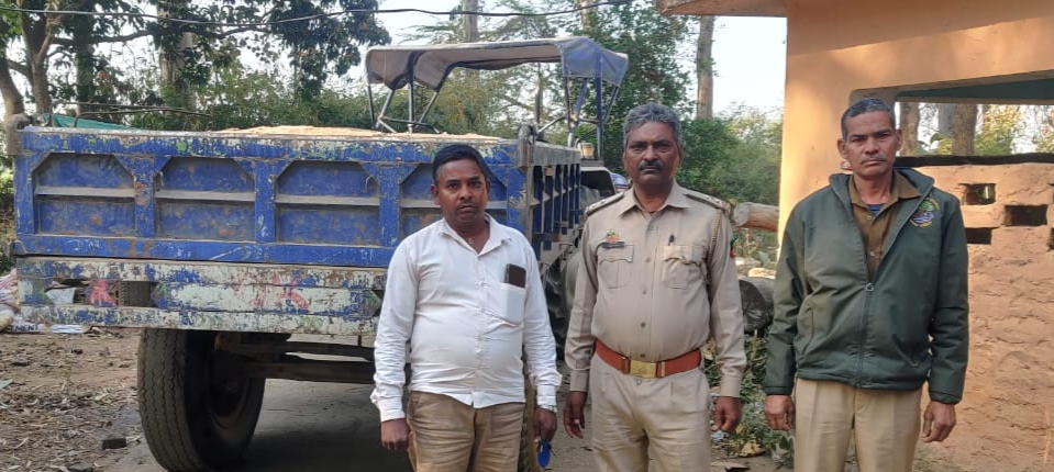 News image