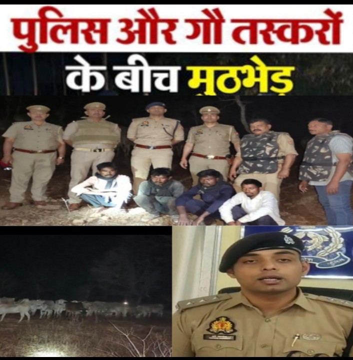 News image