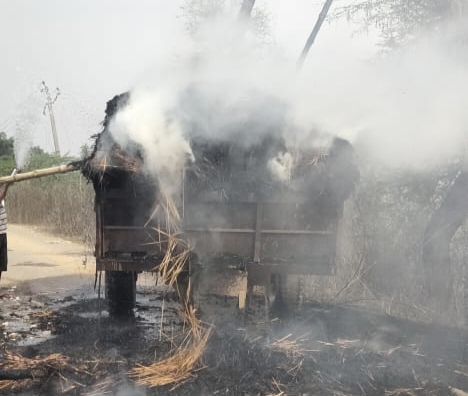 News image