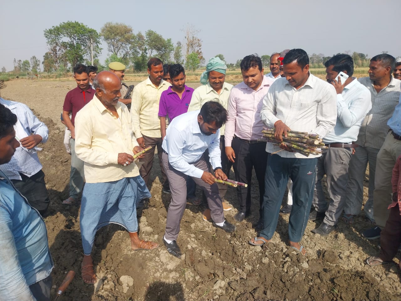News image