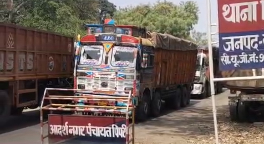 News image