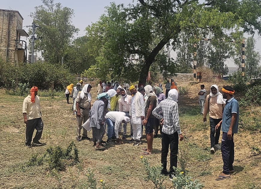 News image